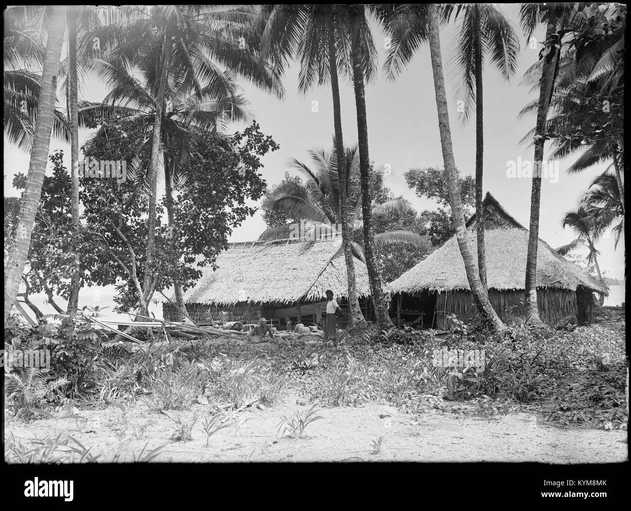 Eine historische Illustration der Ausblicke auf Neuseeland, Martin Place und Middle Harbour, im Vintage-Stil festgehalten. Dieses Bild ist in der State Library of New South Wales archiviert. Stockfoto
