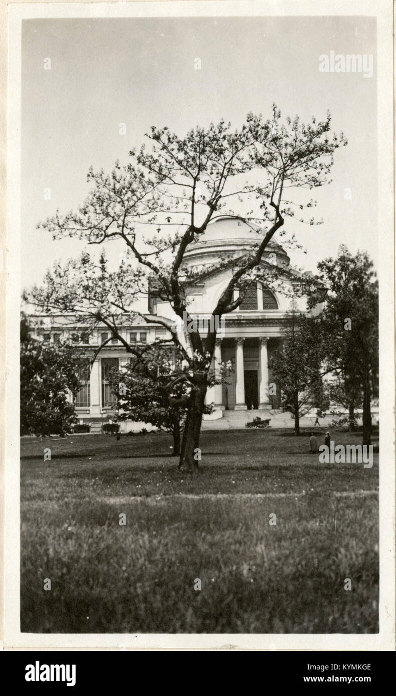 Ein Vintage-Foto, das einen Baum vor dem United States National Museum zeigt, das Teil der Smithsonian Institution ist. Das Foto ist ein historisches Bild der Architektur und Umgebung des Museums. Stockfoto