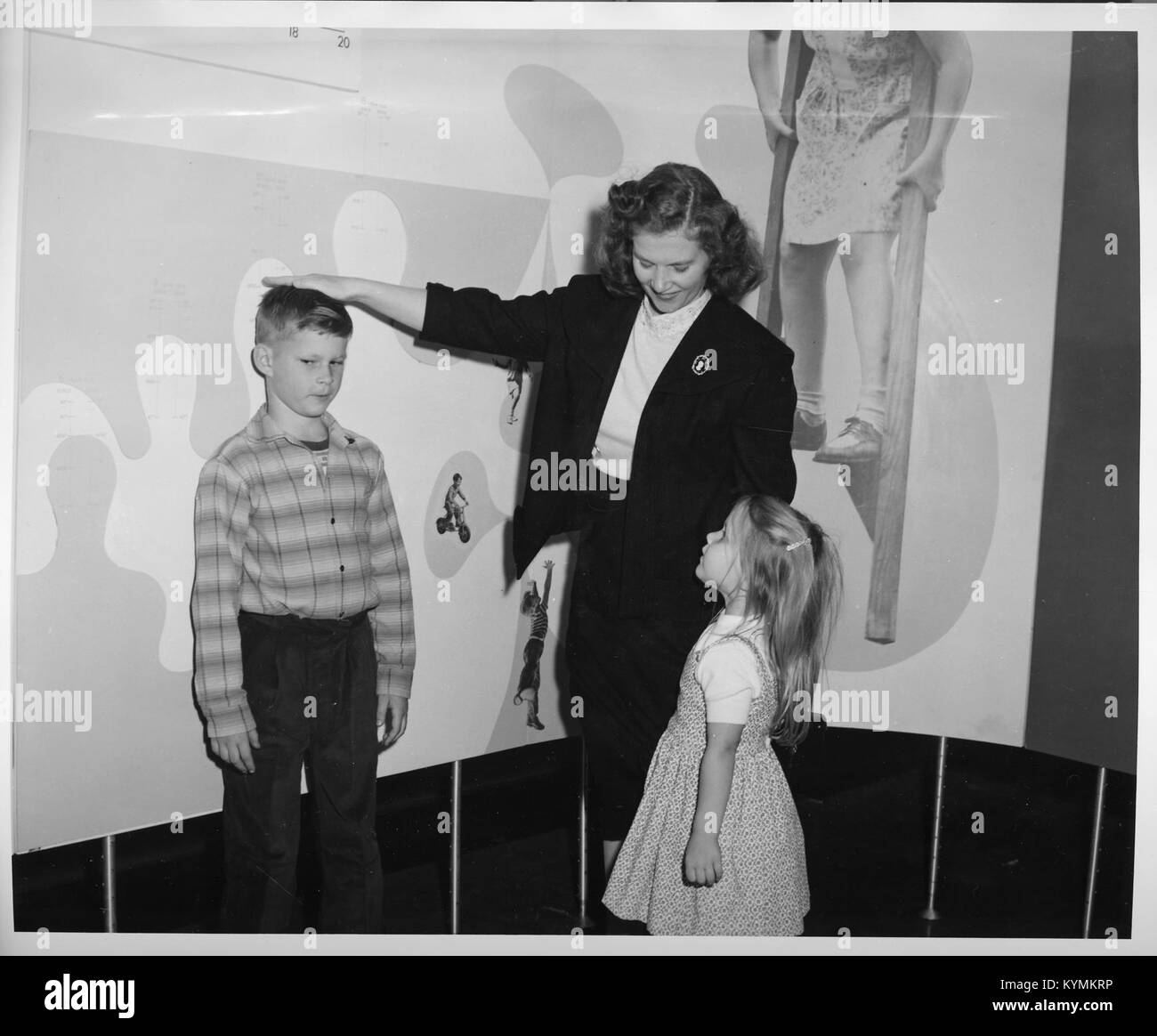 Ein Foto der Ausstellung „How Tall Are You“ in der Hall of Health, die die pädagogische Ausstellung über die menschliche Größe zeigt, Teil des Archivs der Smithsonian Institution. Stockfoto