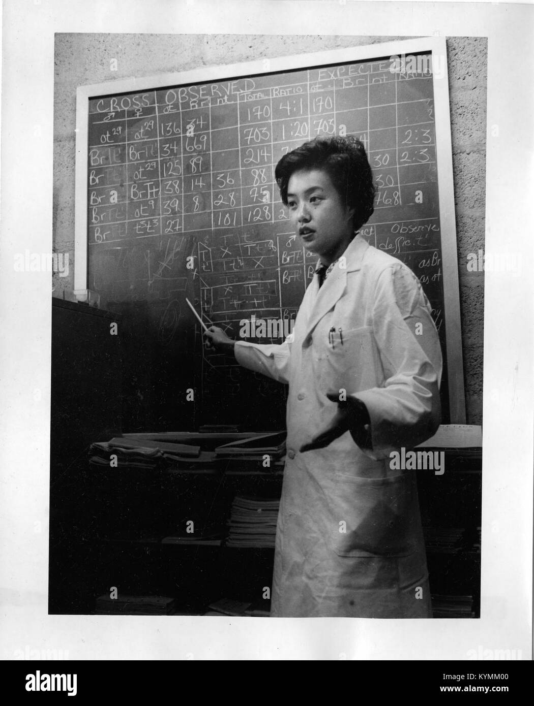 Ein historisches Bild von Anna Chao Pai, einer chinesisch-amerikanischen Biologin, fotografiert im 20. Jahrhundert. Das Bild zeigt sie in einem Klassenzimmer und arbeitet während ihrer wissenschaftlichen Karriere mit einer Tafel als Teil ihrer akademischen Umgebung. Stockfoto
