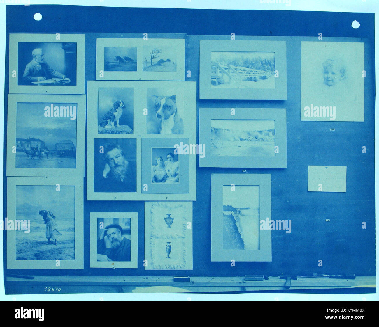 Dieses unbenannte Foto, das Teil der Henry Peach Robinson-Sammlung ist, zeigt Hunde und frühe fotografische Techniken, die die Tiere in einem nostalgischen Schwarzweiß-Format einfangen. Stockfoto