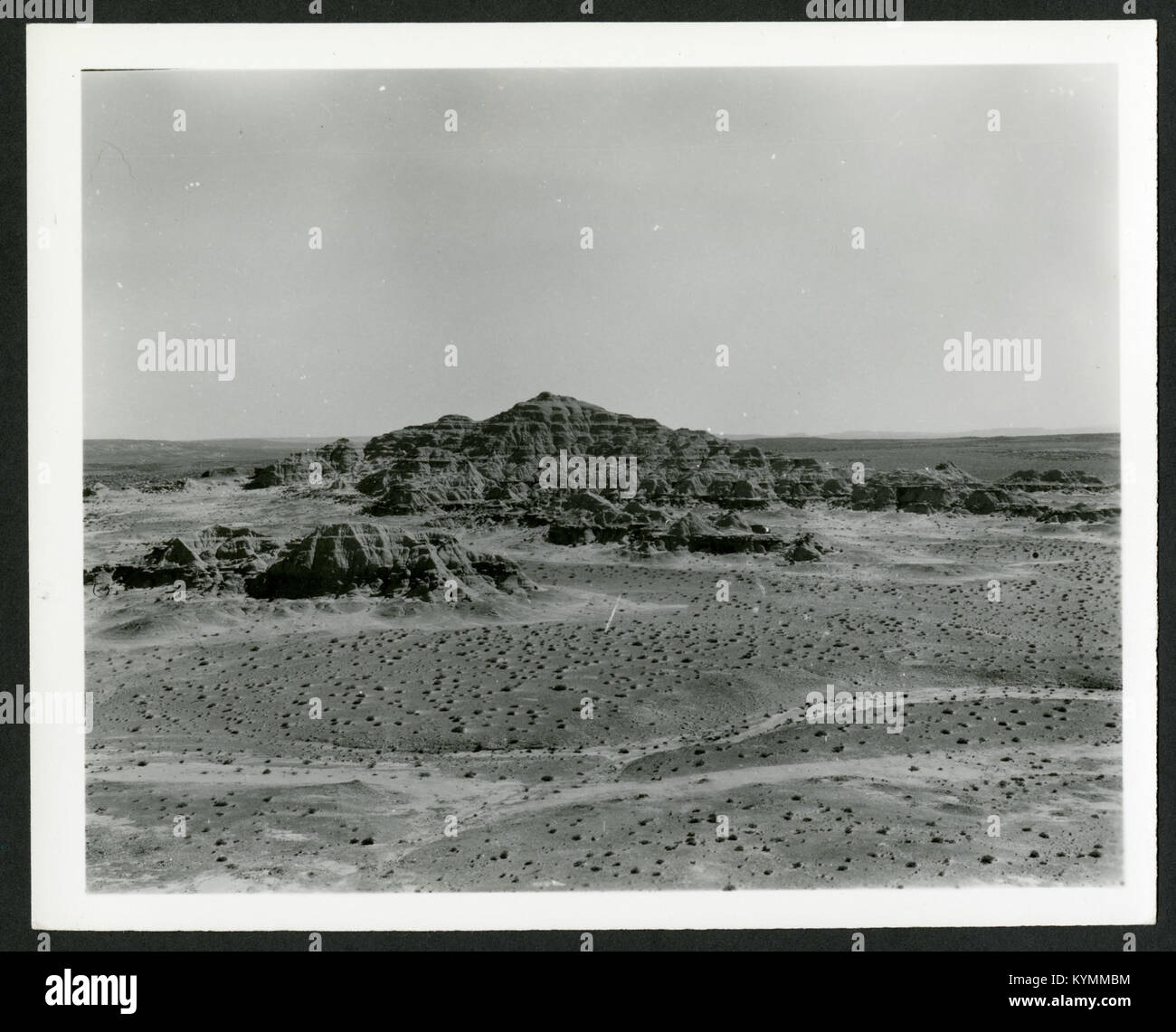 Ein Foto, das Charles Lewis Gazin, einen Paläontologen, während seiner Feldforschung und Sammlung von Exemplaren einfängt. Das Bild zeigt seine Beiträge zur Paläontologie und Fossilienforschung im 20. Jahrhundert. Stockfoto