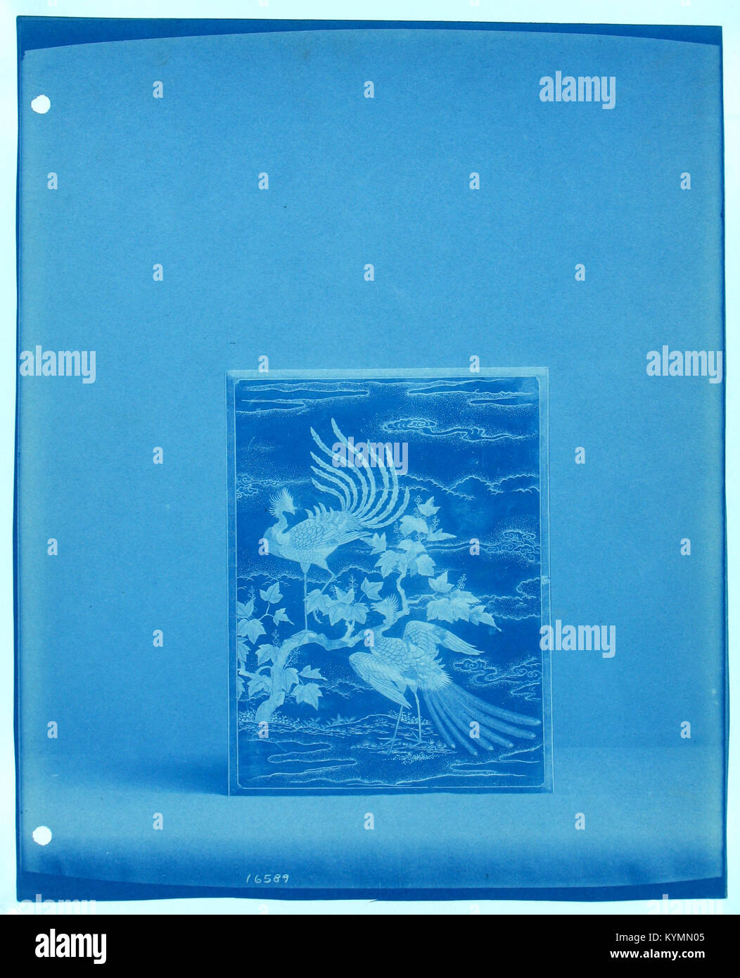 Ein unbenanntes künstlerisches Bild von Pfauen, geschaffen im Stil des japanischen Expressionismus, das die Vögel in einer hochstilisierten und realistischen Weise als Teil des Archivs der Smithsonian Institution erfasst. Stockfoto