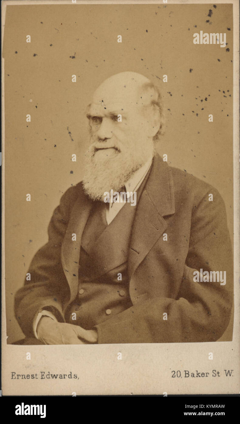 Porträt von Charles Robert Darwin (1809-1882), Biologe 2550753587 o Stockfoto