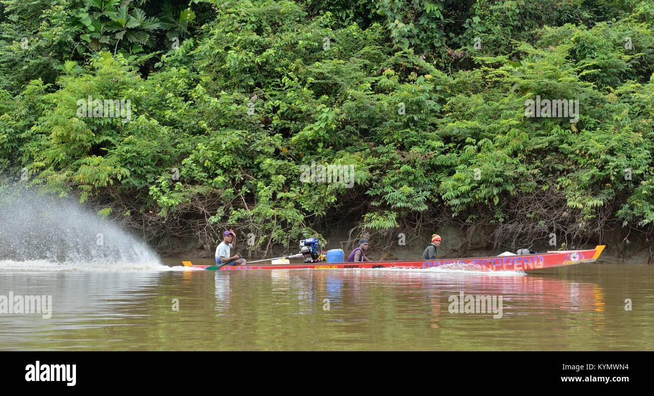 Indonesien, IRIAN JAYA, ASMAT PROVINZ, JOW DORF - 16. Mai: Lokale Männer Schwimmer im Holz Kanu mit Motor auf dem Fluss in den wilden Fluss der tiefen Dschungel Stockfoto