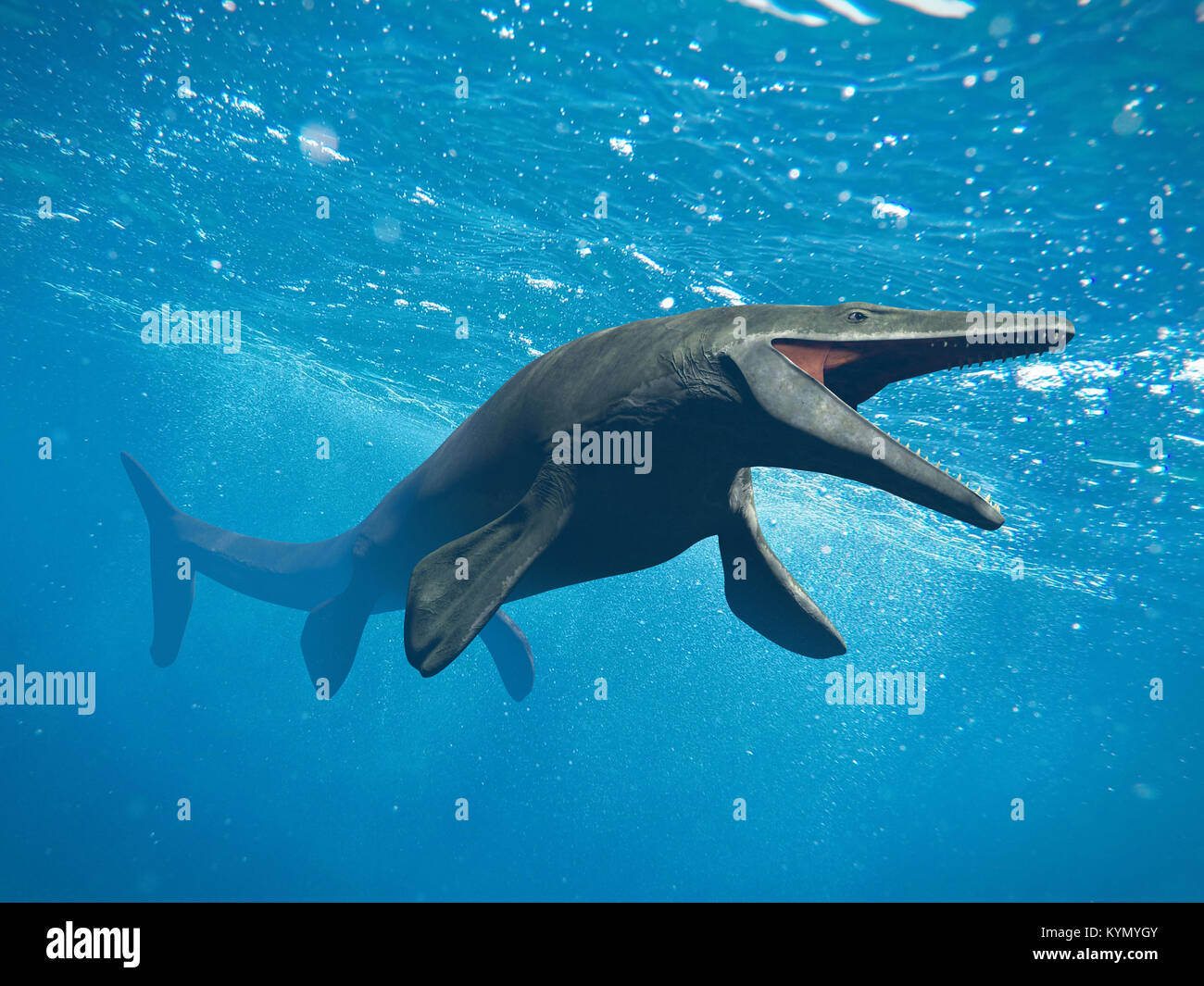 Mosasaurus, riesigen Ozean Eidechse, erloschenen Mosasaur zwischen 70 und 66 millionen Jahren (3d-Abbildung) Stockfoto