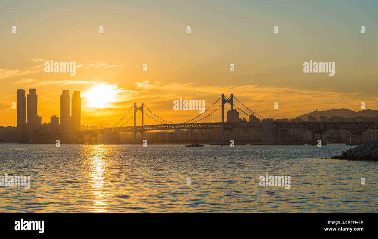 Gwangan Brücke und Haeundae bei Sonnenaufgang, Busan, Südkorea. Stockfoto
