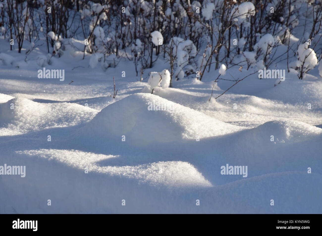 Puffy, wenig moguls Schnee in der Nachmittagssonne. Am 13 Januar, 2018 um 3:15 Uhr. Stockfoto
