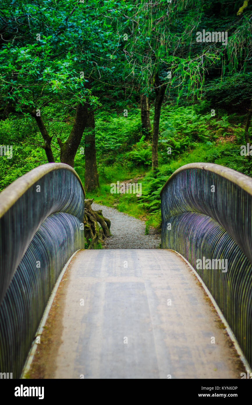 Brücke zu Abenteuer - schöne geschwungene Brücke in einem üppigen Wald Weg Stockfoto
