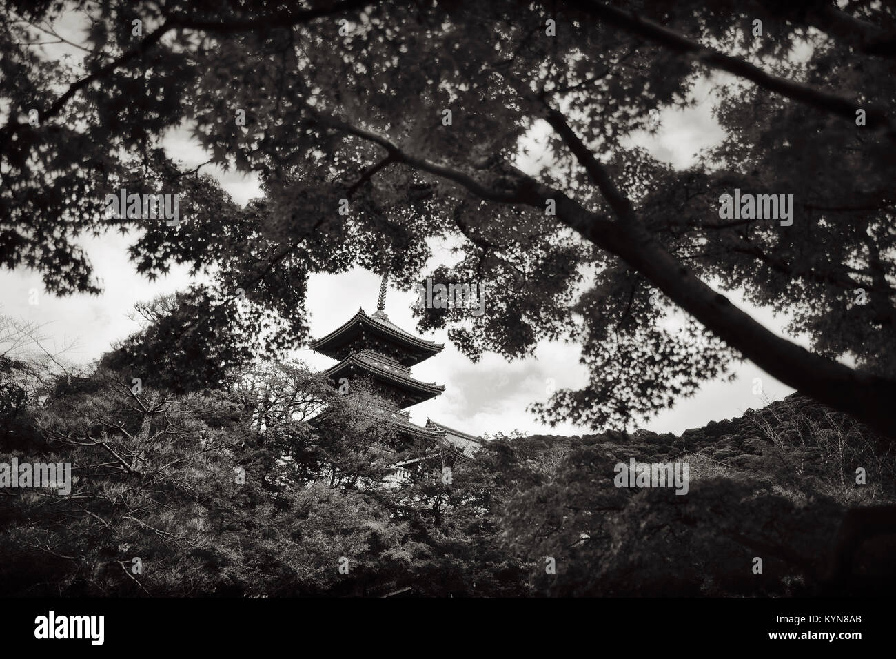 Sanjunoto Pagode Turm der Kiyomizu-dera buddhistischen Tempel in der schönen Landschaft von hinter dem japanischen Ahorn Bäume gesehen. Schwarzweiß, Sepia Getont. Higa Stockfoto
