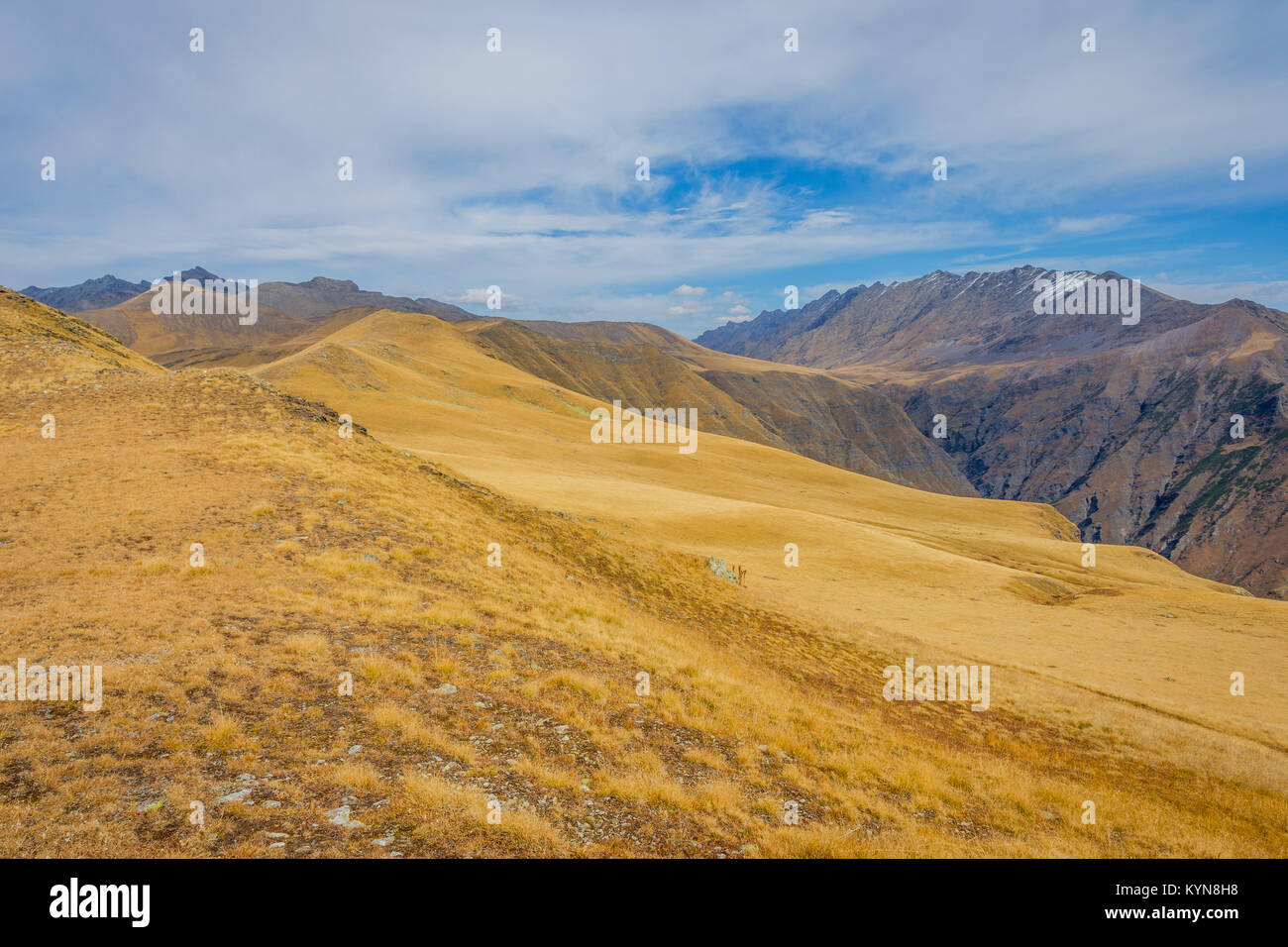 Berge in Golden Gras im Herbst, lagodechi National Park, Georgia Stockfoto