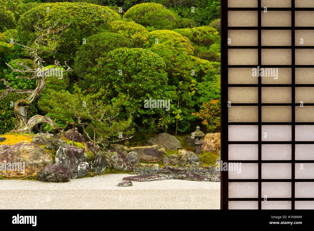 Konchi - im Garten und einen alten Baum und Steinen. Stockfoto