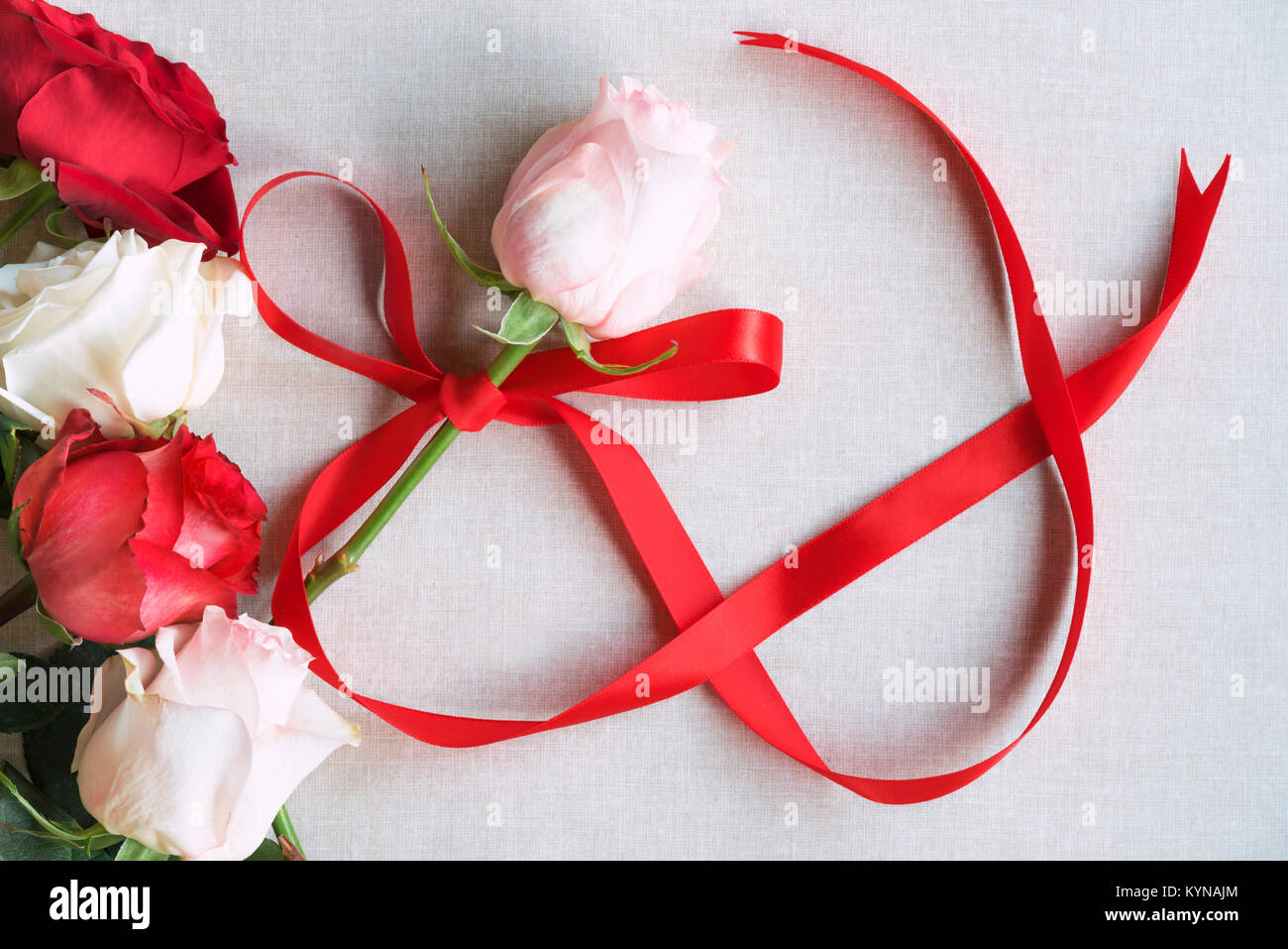 Tag der Frau Bild mit einem rosa mit roter Schleife in Form der Zahl 8,  durch rote und weiße Rosen umgeben gebunden Rose, auf einem vintage Stoff  Hintergrund Stockfotografie - Alamy