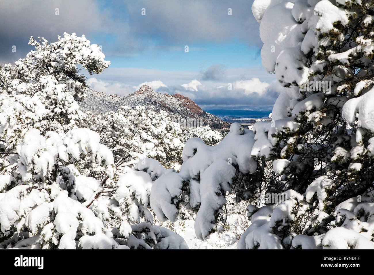 Granit Waschbecken in der Sierra Preita Berge bedeckt mit Schnee im Winter. Prescott, Arizona. Stockfoto