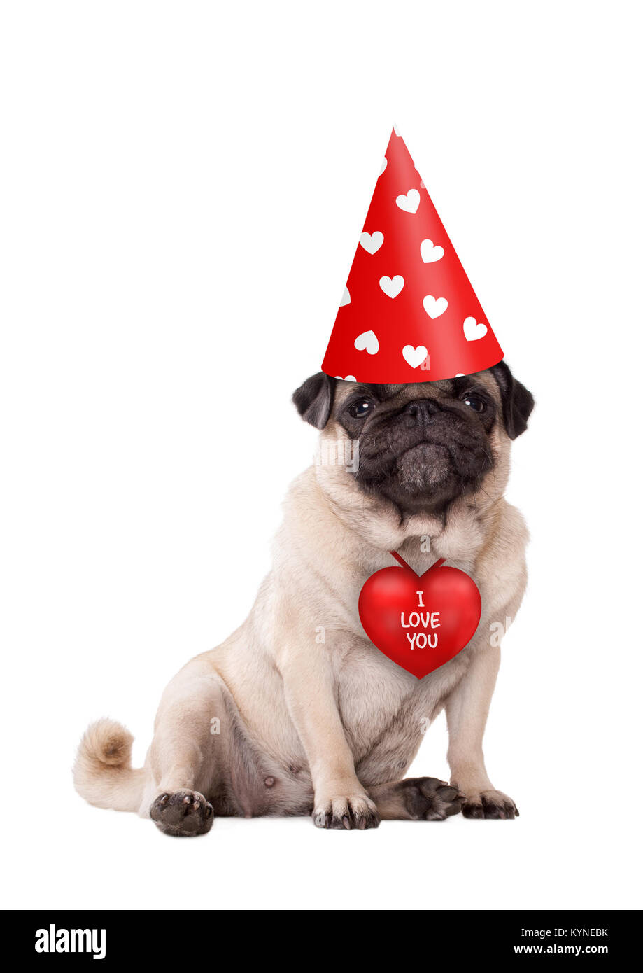 Schön süß Valentinstag Welpen Mops Hund sitzend mit roten Ich liebe dich Herzen und Party hut mit Herz, auf weissem isoliert Stockfoto