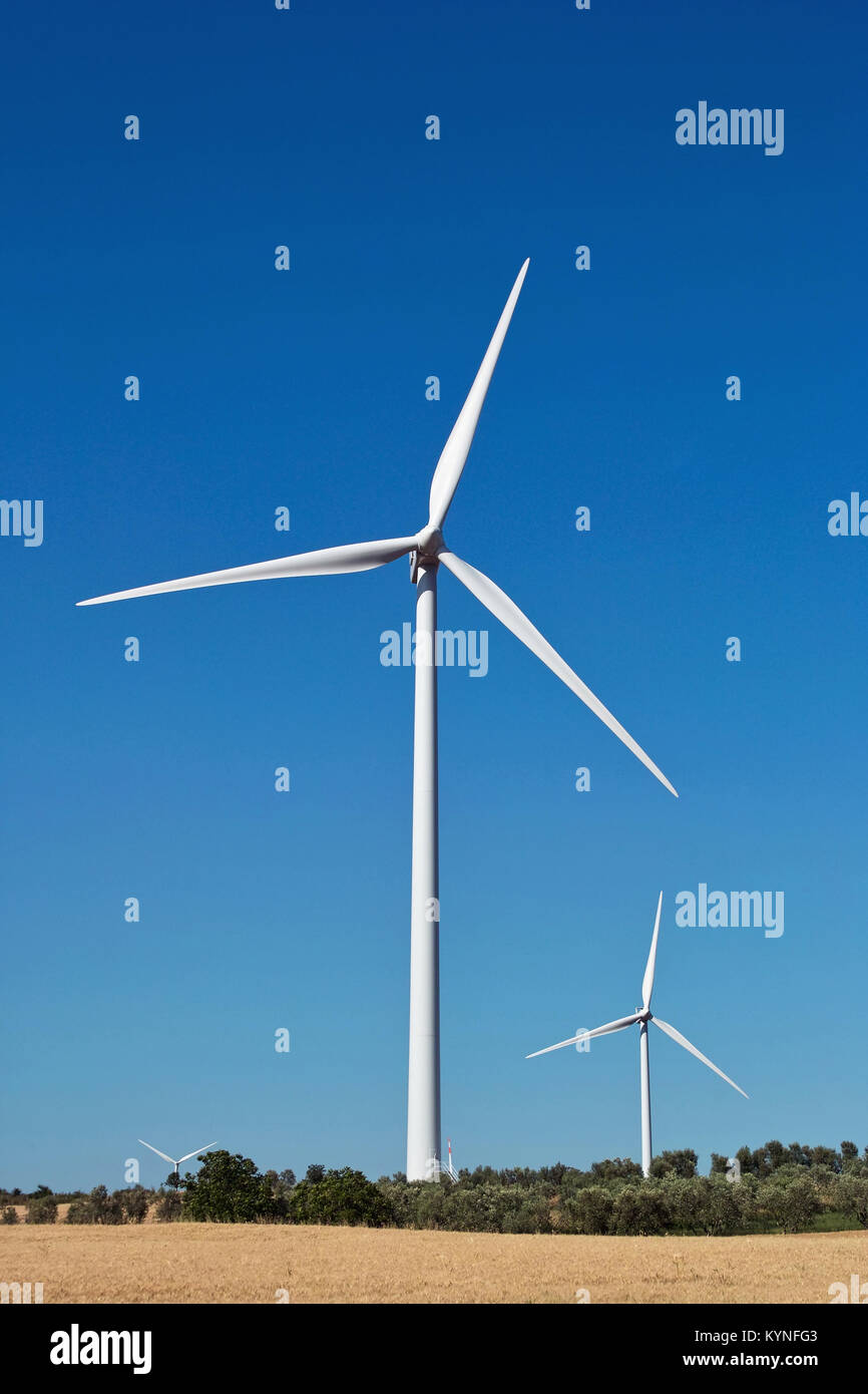 Windkraftanlage für die Produktion von elektrischer Energie Stockfoto