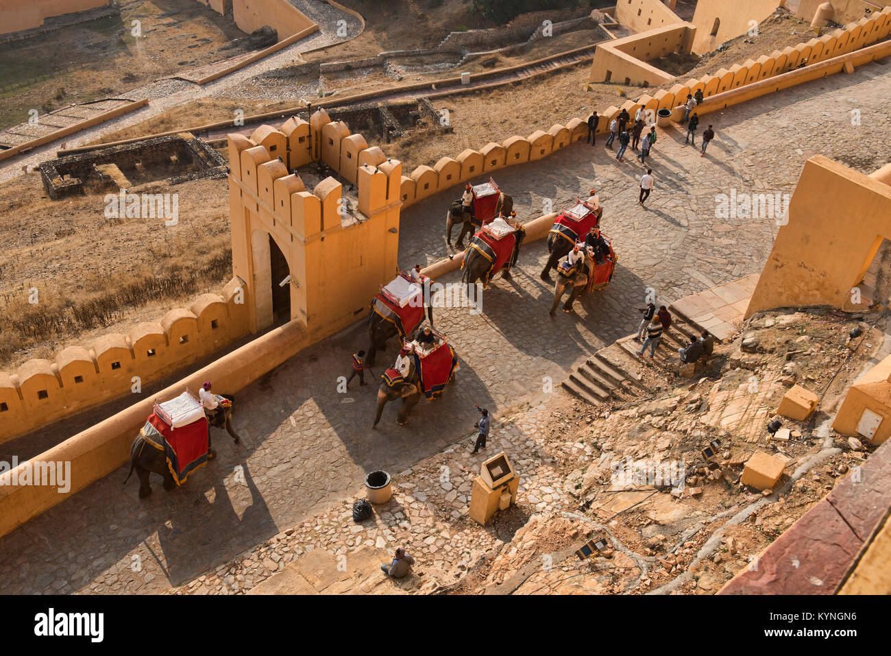 Elefanten reiten an der Amer Fort, Jaipur, Indien Stockfoto