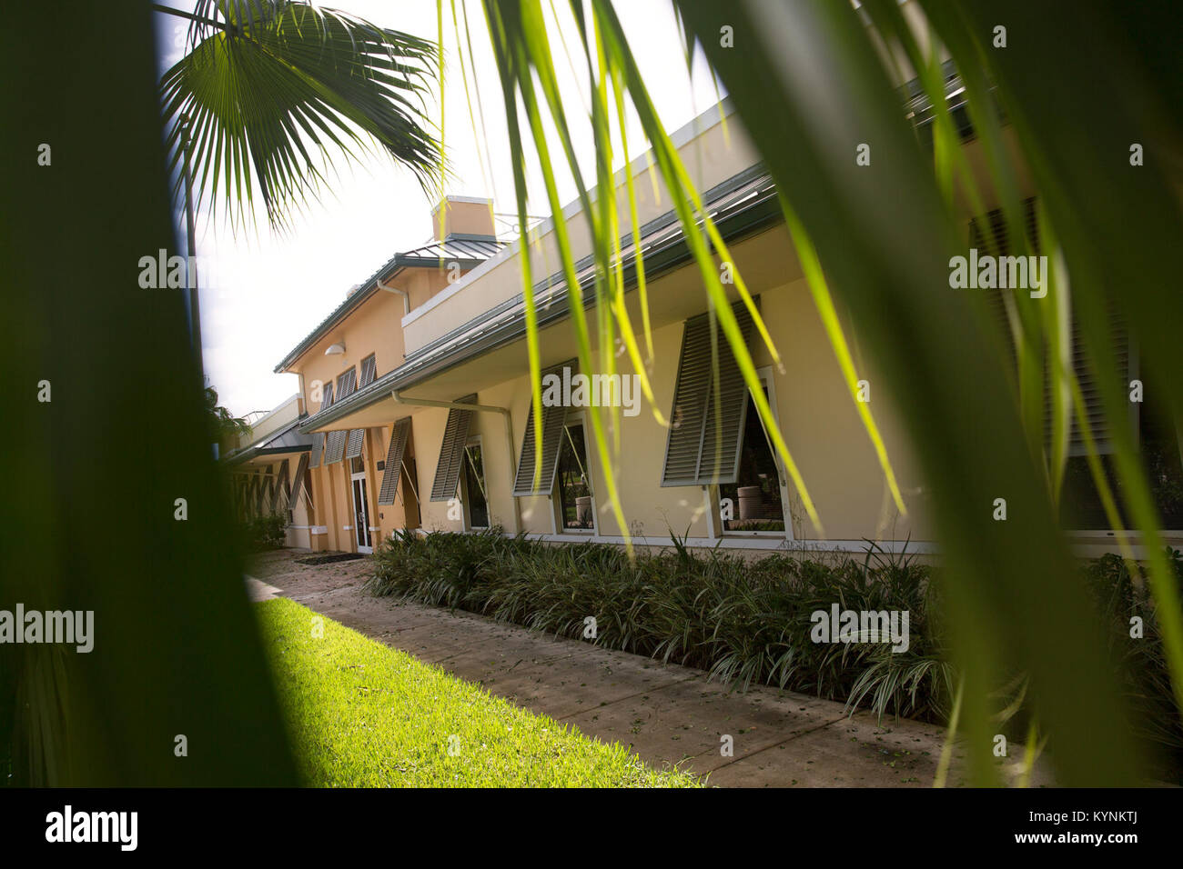 Die US Border Patrol Miami Bereich Büro in Pembroke Pines, Fla., wird von Limp palm tree branches Stunden gerahmt nach Hurrikan Irma durch S. Florida 11. September 2017 verabschiedet. Us-amerikanischen Zoll- und Grenzschutzbehörden Foto von Glenn Fawcett Stockfoto