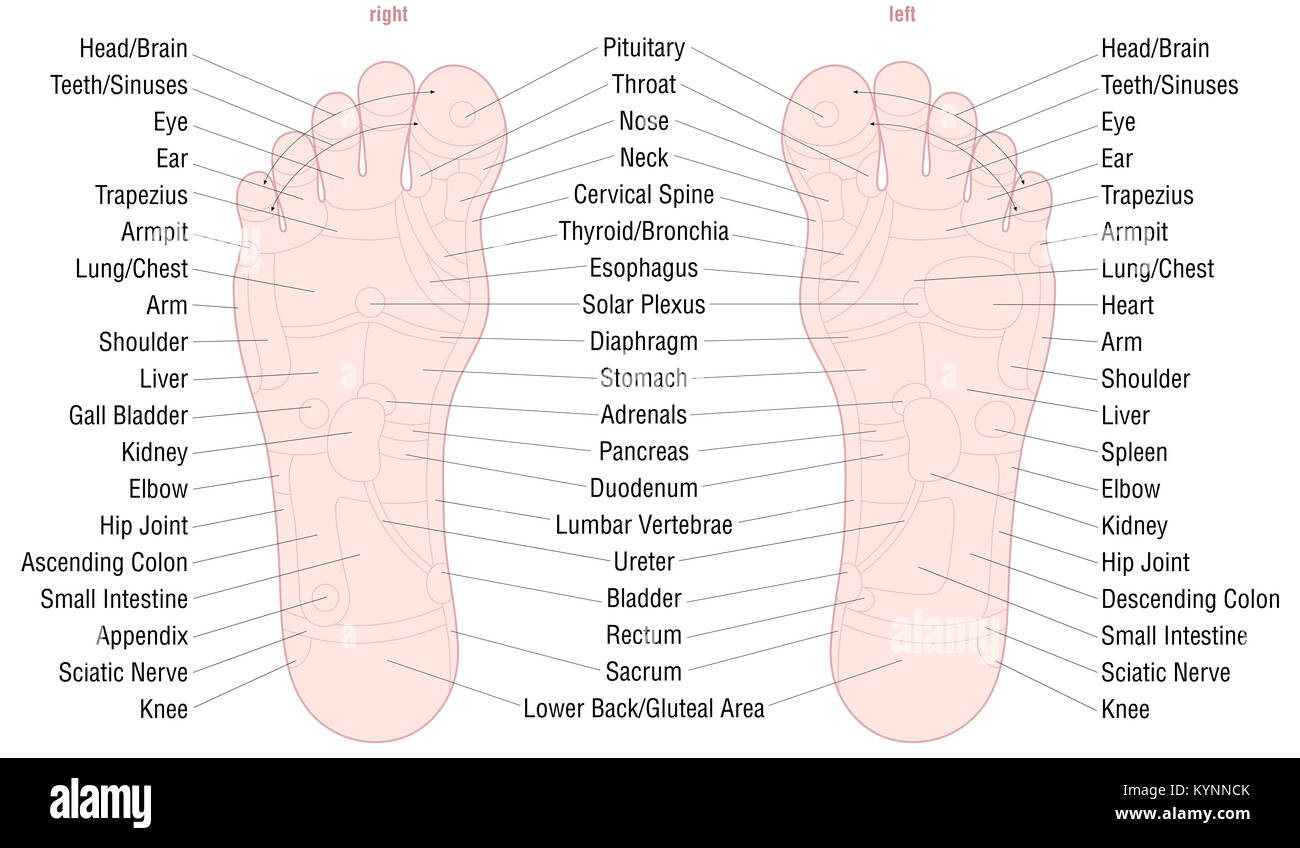 Fußreflexzonen-Massage zone Karte mit Bereichen und die Namen der entsprechenden internen Organe und Körperteile - Hautfarbe. Stockfoto