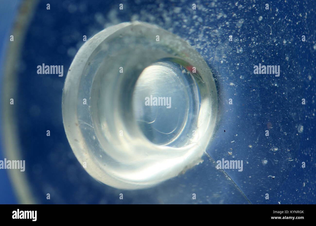 Silikon Sauger Fenster Stockfoto