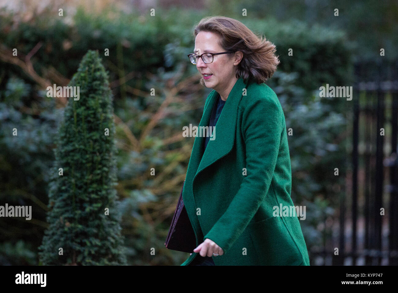 London, Großbritannien. 16 Jan, 2018. Baroness Evans von Bowes Park, Führer des Oberhauses und Lord Privy Seal, kommt an 10 Downing Street für eine Sitzung. Themen erwartet, diskutiert zu werden, und der Zusammenbruch der Carillion. Credit: Mark Kerrison/Alamy leben Nachrichten Stockfoto