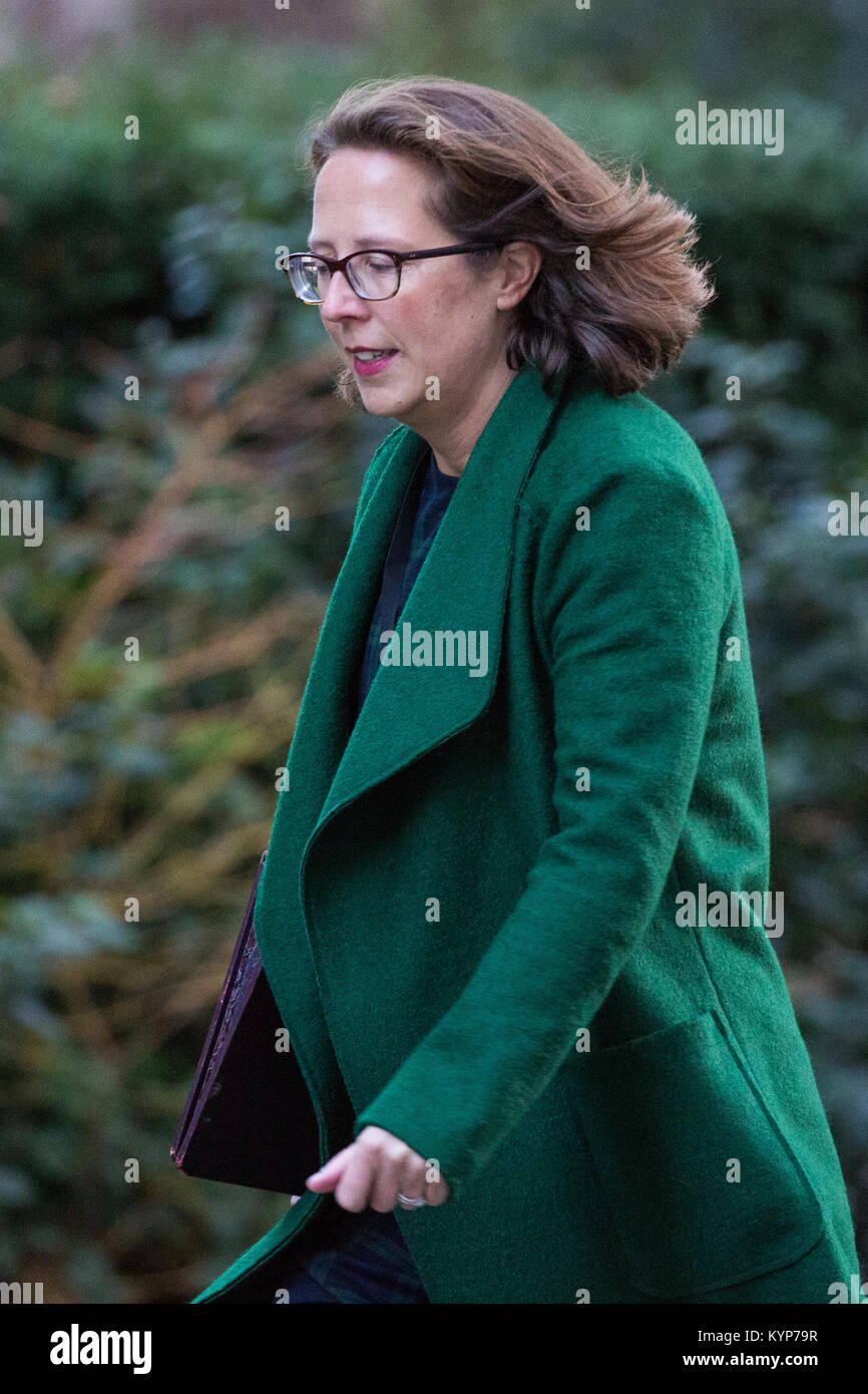 London, Großbritannien. 16 Jan, 2018. Baroness Evans von Bowes Park, Führer des Oberhauses und Lord Privy Seal, kommt an 10 Downing Street für eine Sitzung. Themen erwartet, diskutiert zu werden, und der Zusammenbruch der Carillion. Credit: Mark Kerrison/Alamy leben Nachrichten Stockfoto