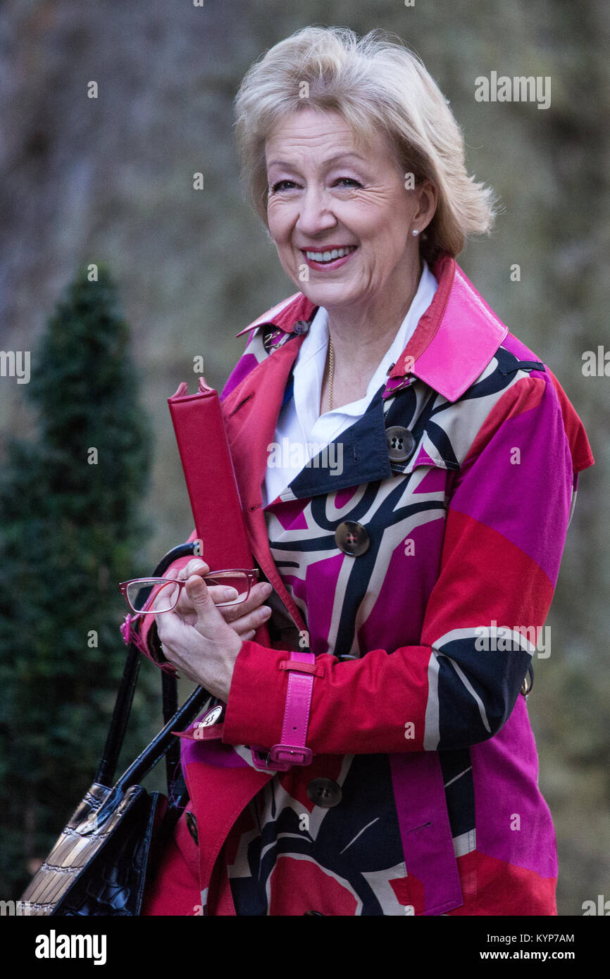 London, Großbritannien. 16 Jan, 2018. Andrea Leadsom MP, Herr Präsident des Rates, und Führer des Unterhauses, kommt an 10 Downing Street für eine Sitzung. Themen erwartet, diskutiert zu werden, und der Zusammenbruch der Carillion. Credit: Mark Kerrison/Alamy leben Nachrichten Stockfoto