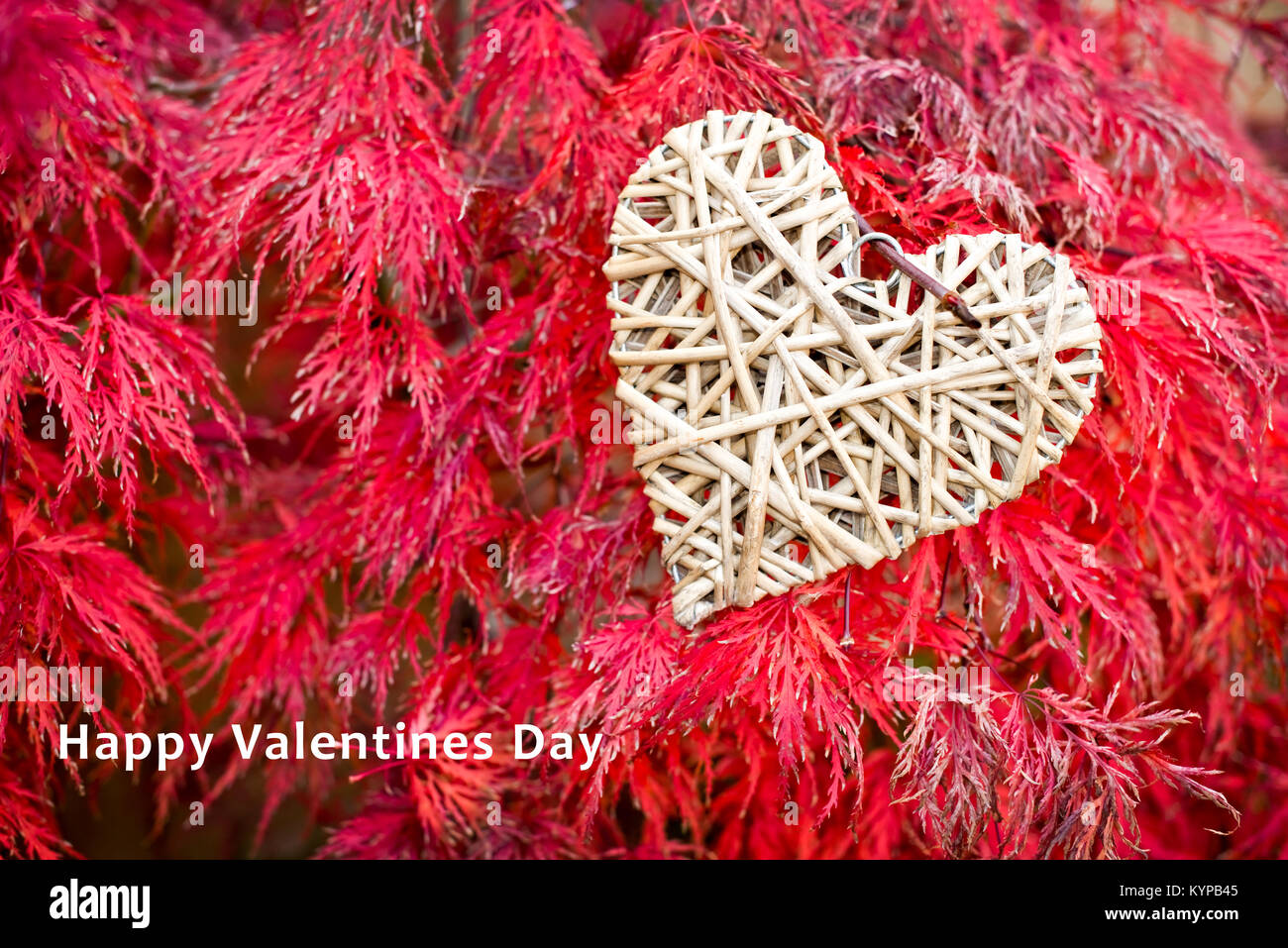 Valentines Tag Karte, Holz- Herz auf rot Ahorn Blätter Hintergrund Stockfoto