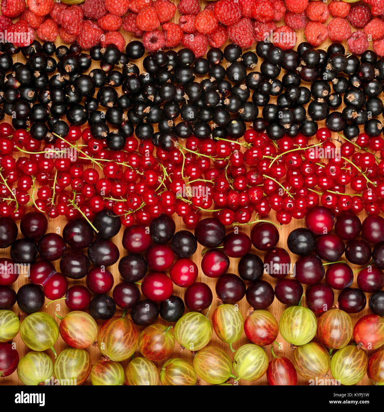 Sammlung von verschiedenen Früchten (Johannisbeeren, Stachelbeeren, Himbeeren, Pflaumen). Obst Hintergrund. Ansicht von Oben. Stockfoto