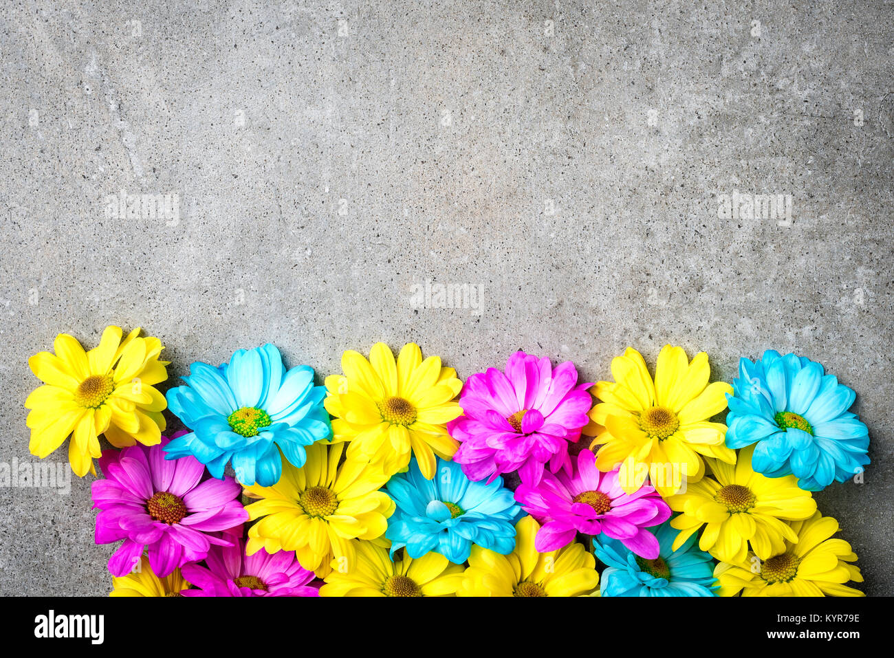 Bunte Blumen auf grauem Stein Hintergrund Stockfoto