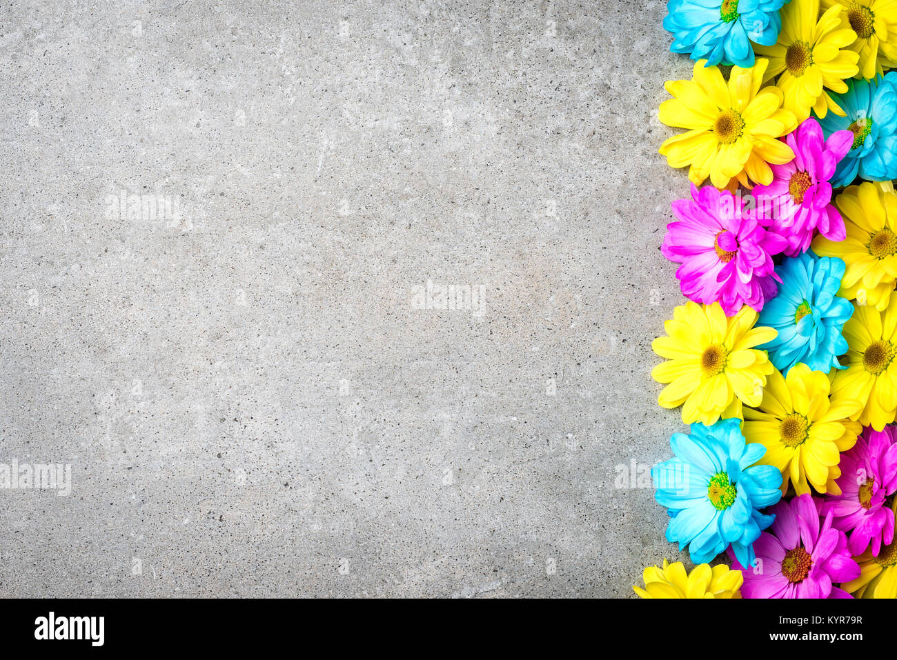 Bunte Blumen auf grauem Stein Hintergrund Stockfoto