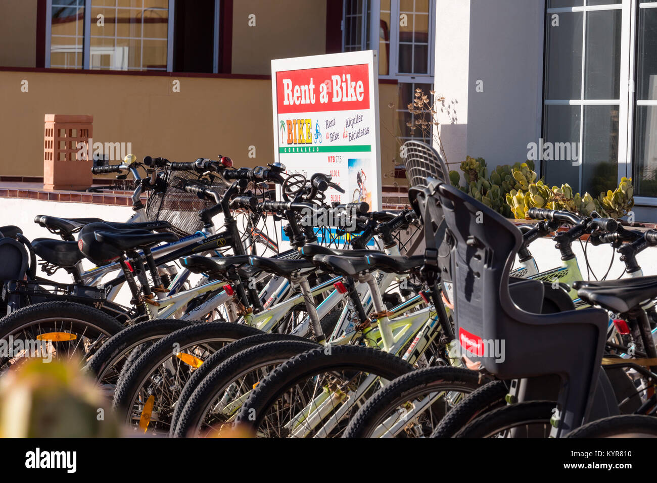 Fahrrad mieten Corralejo, La Oliva Fuerteventura Kanarische Inseln Spanien Stockfoto