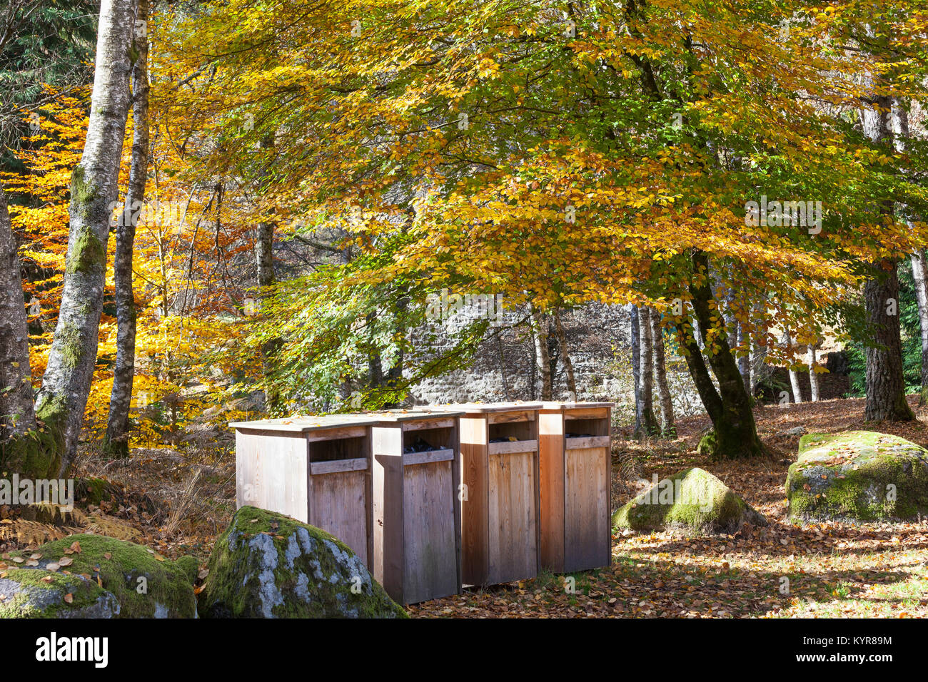 Zeile mit rustikalen Holzmöbeln Mülltonnen an einem Berg Picknickplatz im Herbst für die Entsorgung der Verschmutzung der unberührten Wäldern zu verhindern. Stockfoto