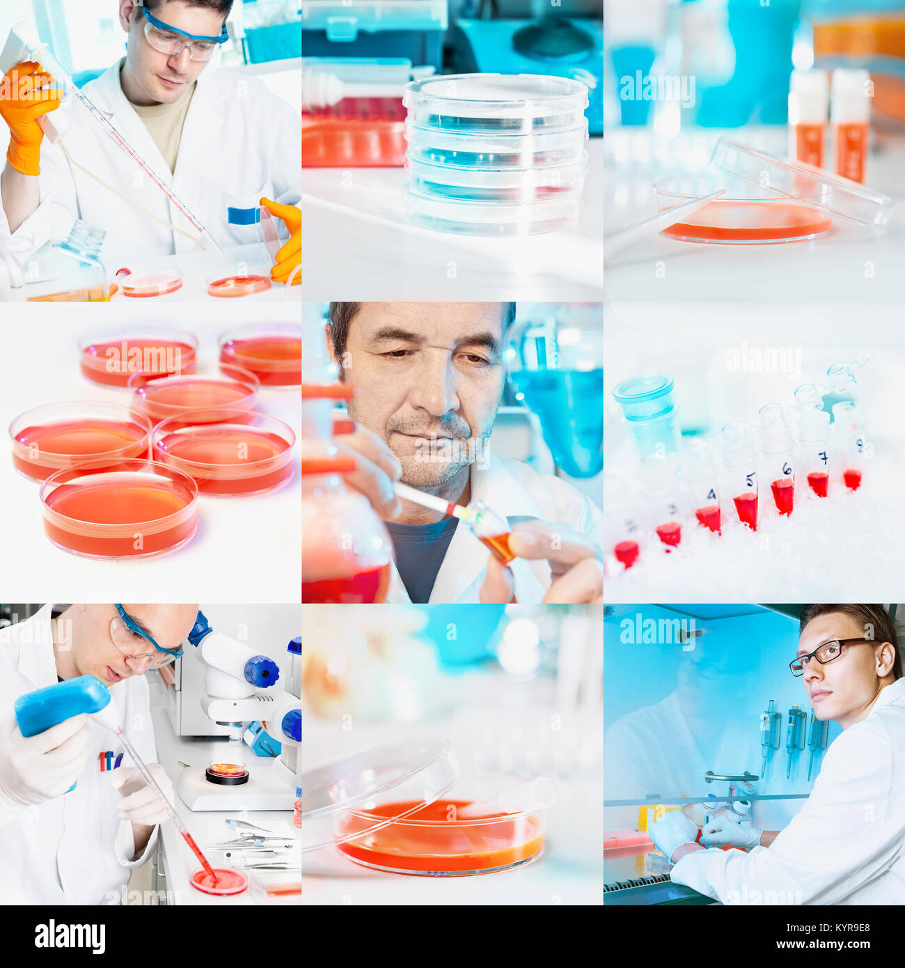 Wissenschaftler führen Zellkulturen, collage Stockfoto