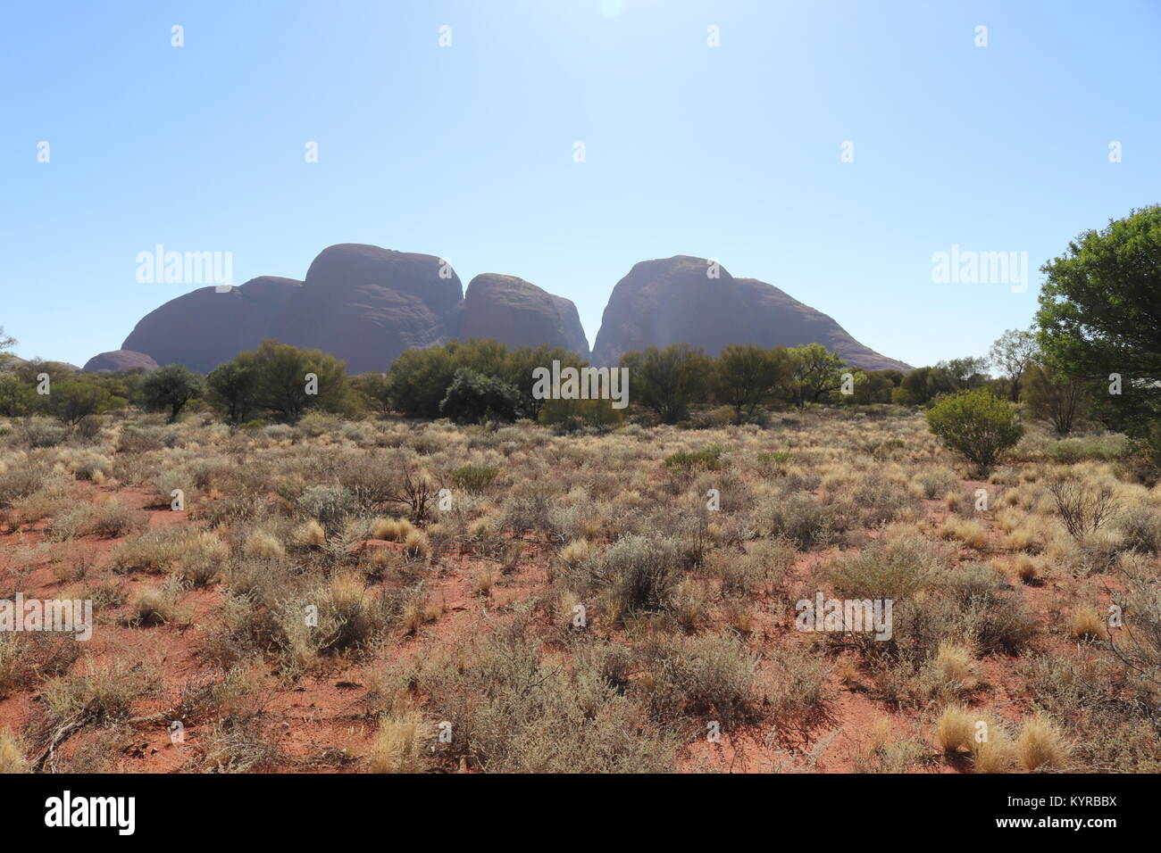 Kata Tjuta - Australien Stockfoto