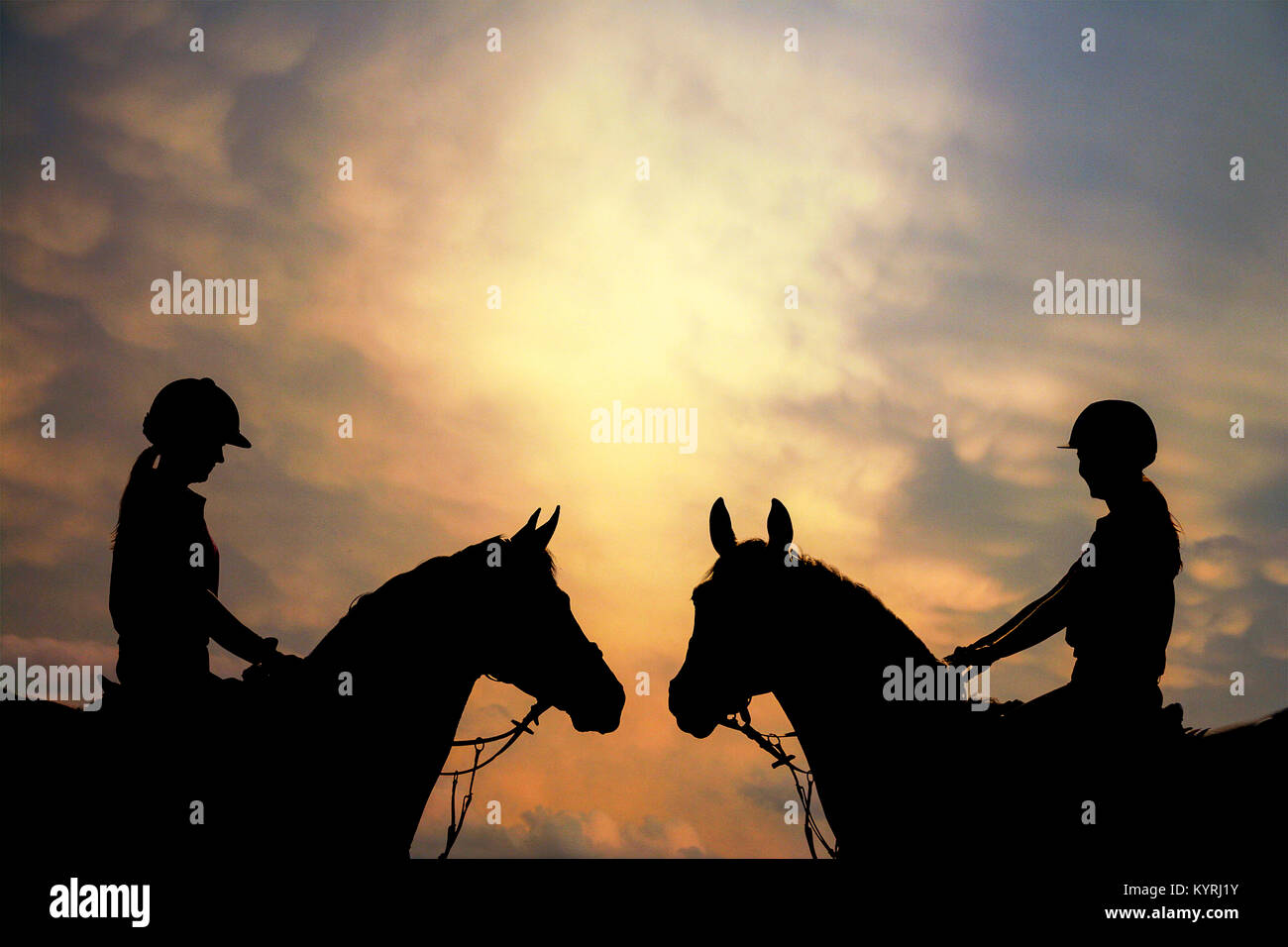 Holländischen Warmblut. Zwei Reiter gegen den Abendhimmel. Niederlande Stockfoto