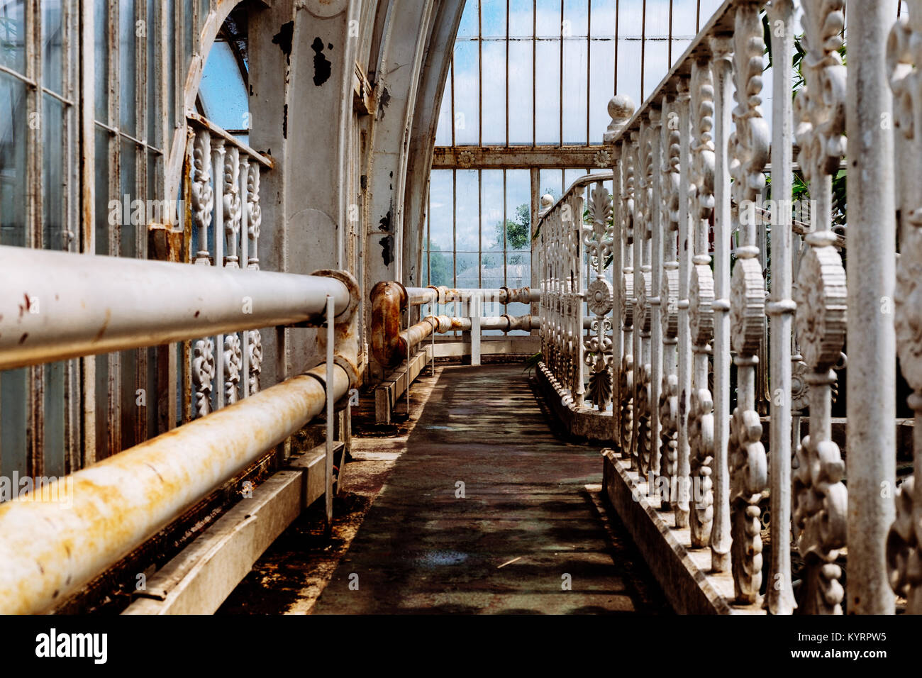 Kew Gardens Palm House erbaut zwischen 1844 und 1848 Stockfoto