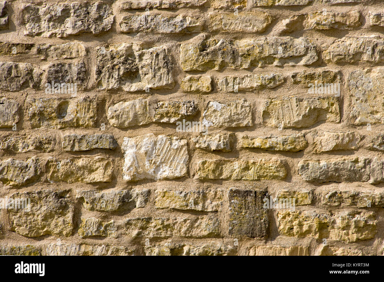 Kalksteinmauer full frame Hintergrund Nahaufnahme Stockfoto