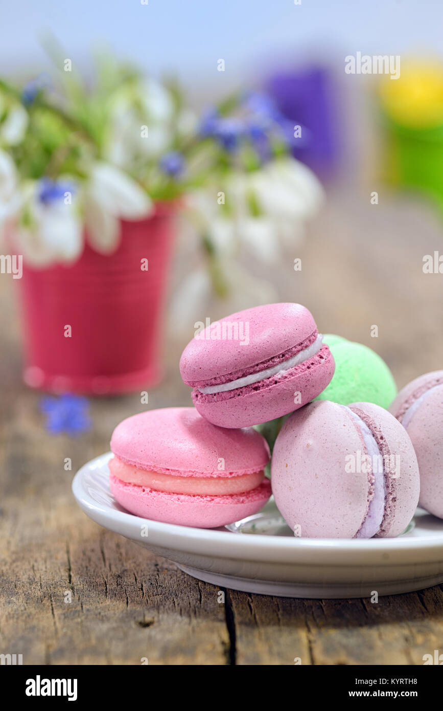 Süße bunte Makronen und Frühlingsblumen in kleinen Topf Stockfoto