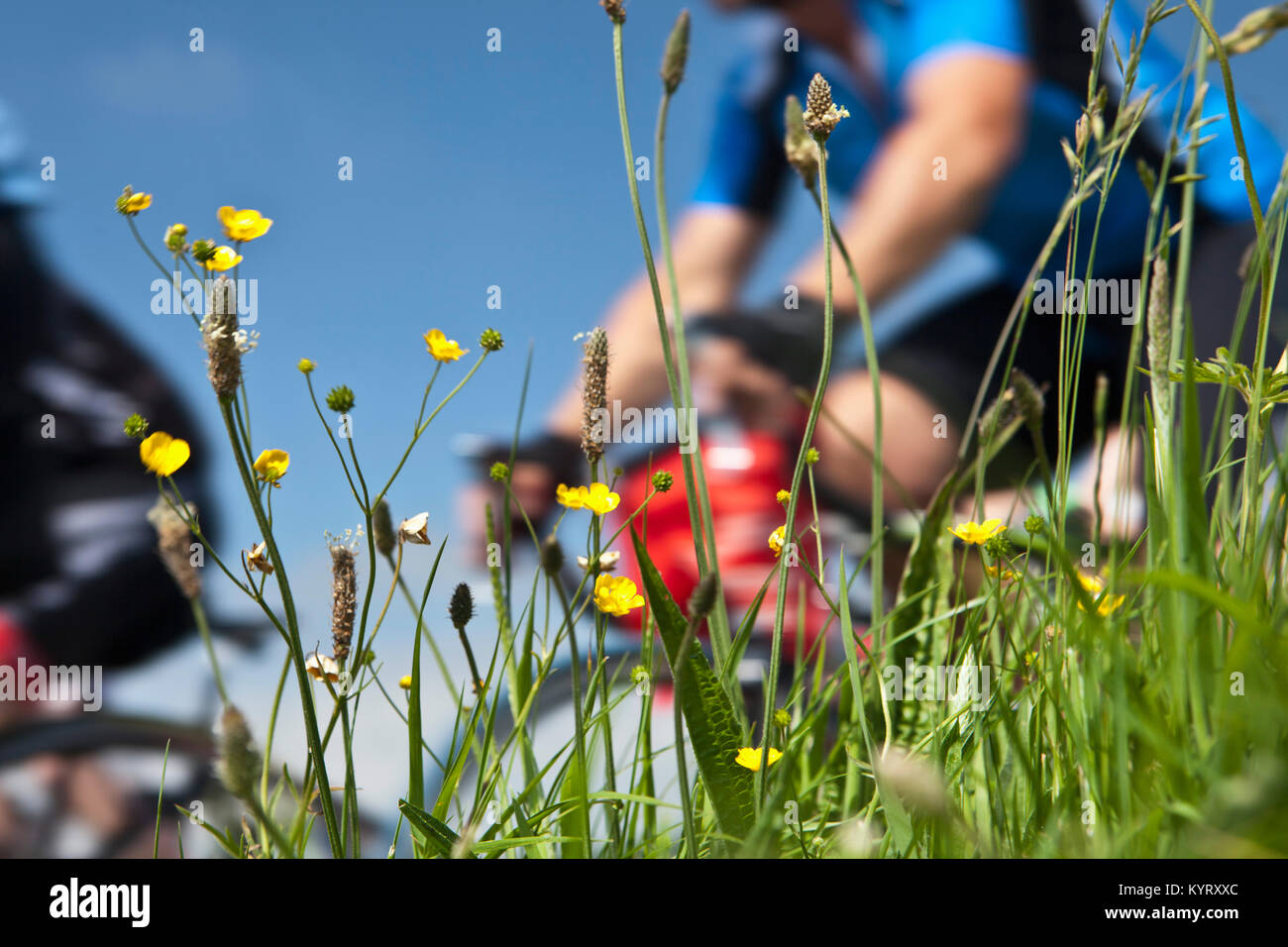 Die Niederlande, Hindeloopen. Elf Städte Tour. Stockfoto