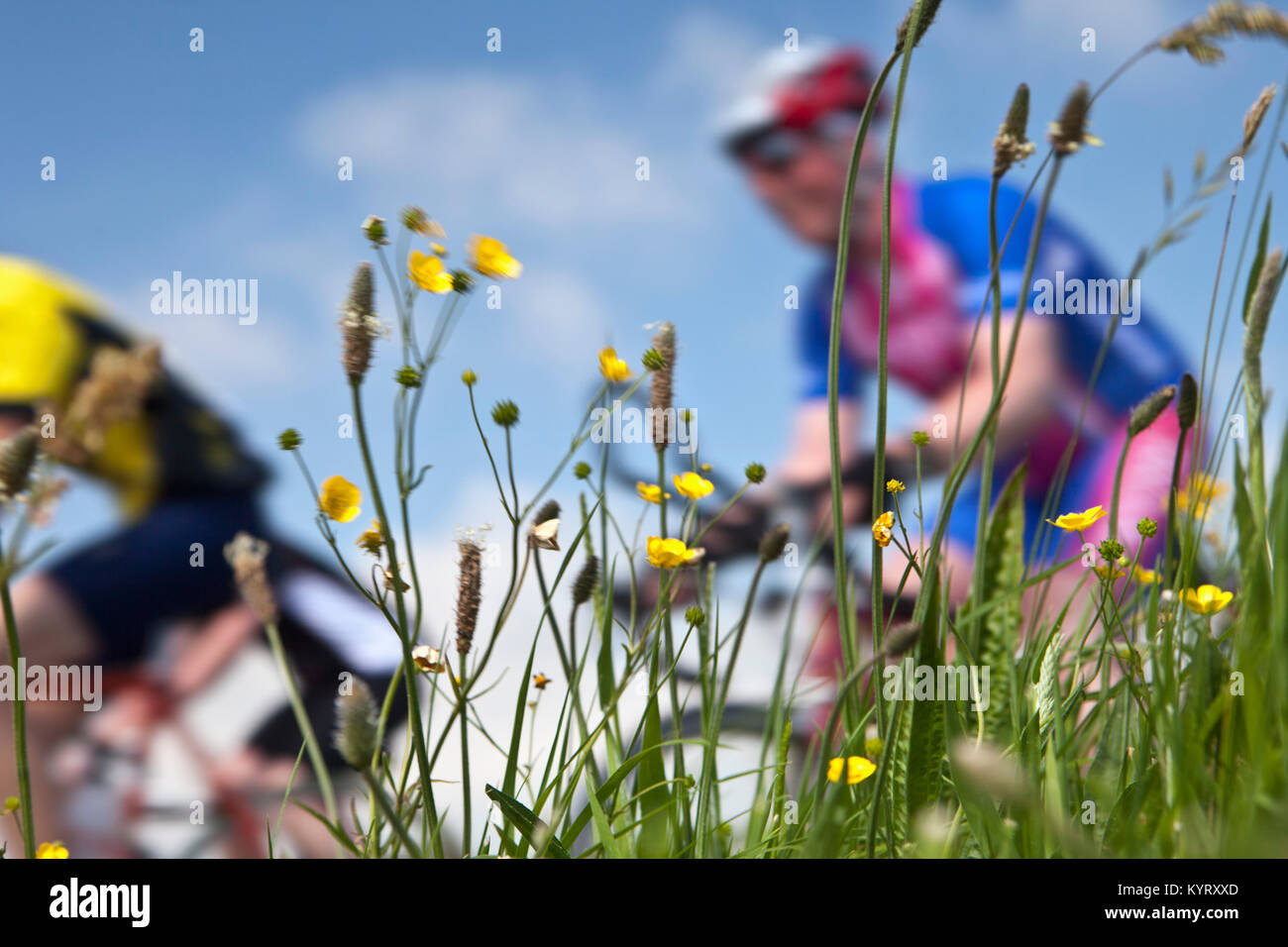 Die Niederlande, Hindeloopen. Elf Städte Tour. Stockfoto