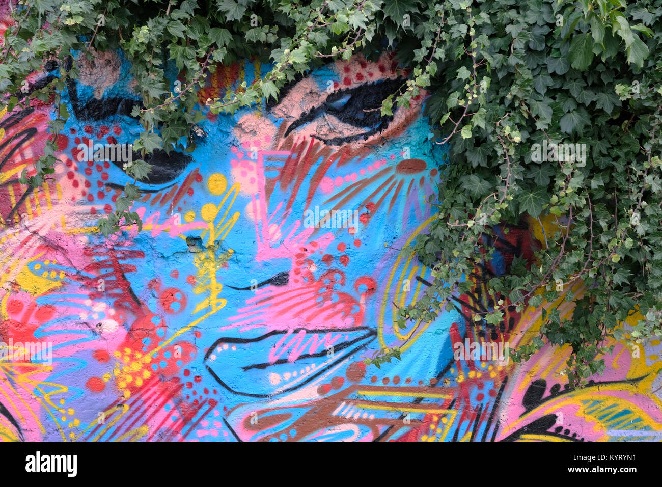 Graffiti auf Strae in Brighton, UK. Street Art von Gesicht mit Efeu als  Haar Stockfotografie - Alamy