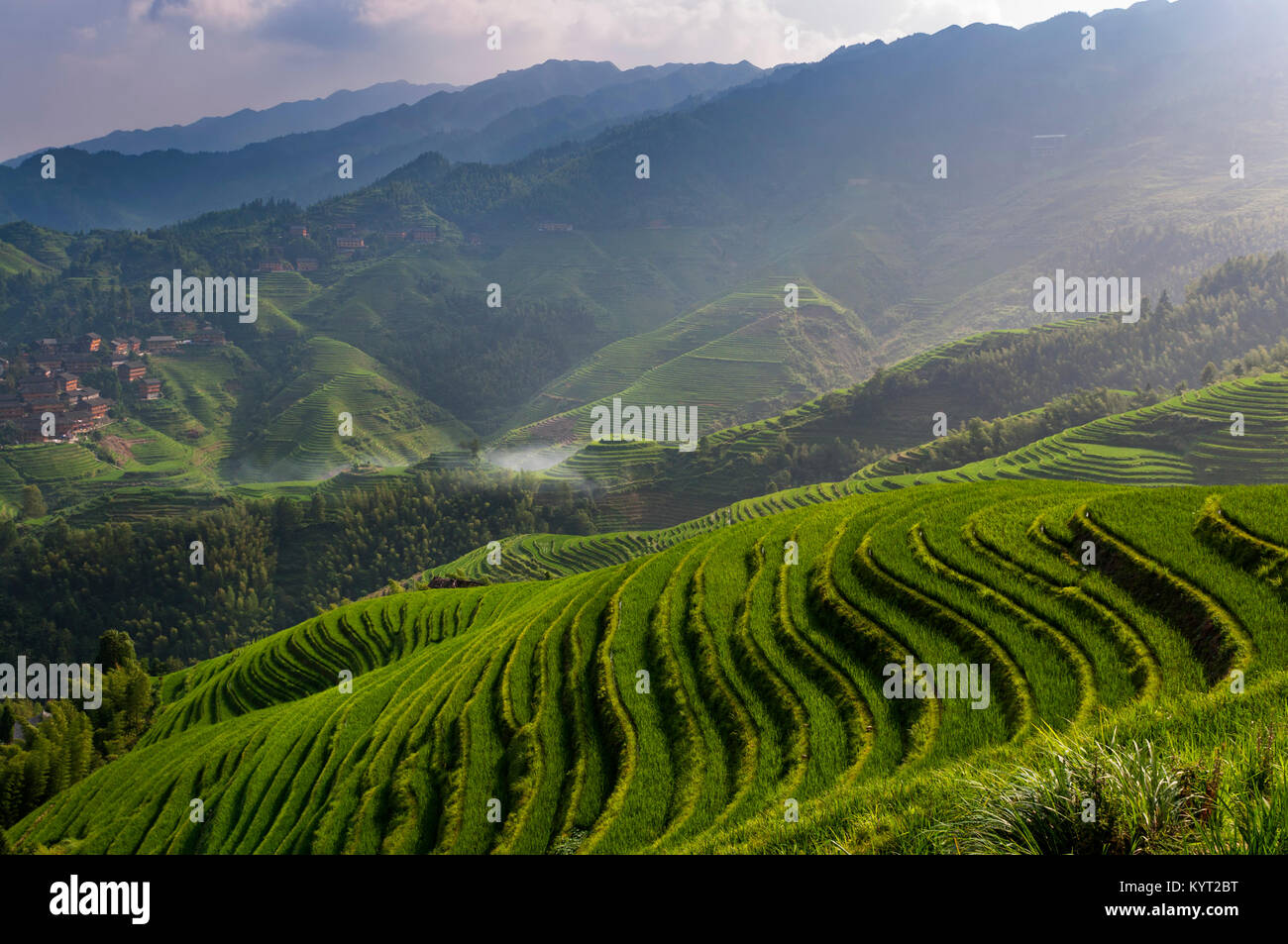 Schöne Sicht auf die longsheng Reis Terrassen in der Nähe der Der dazhai Village in der Provinz Guangxi, China; Konzept für Reisen in China. Stockfoto