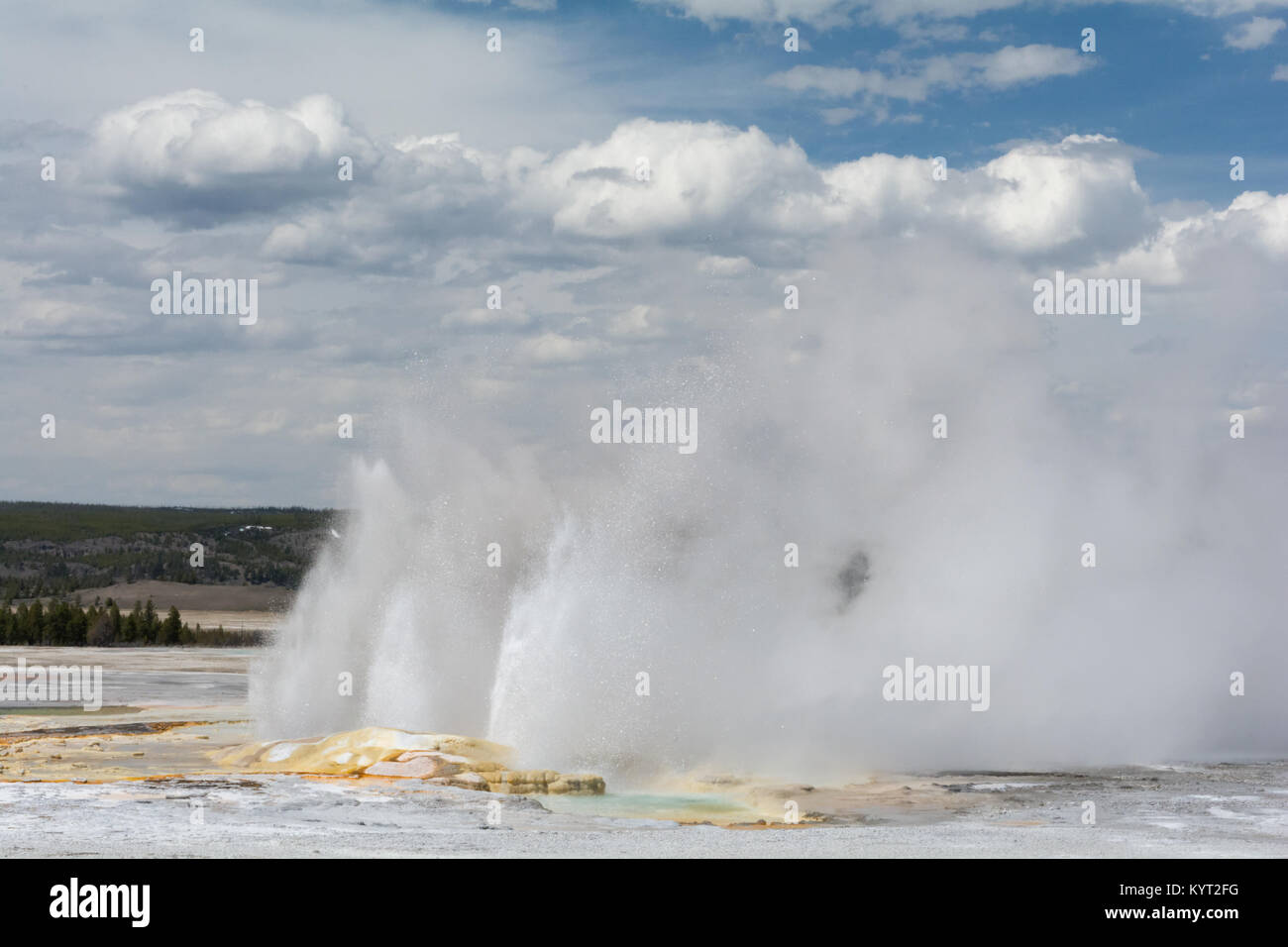 Ein Trio von Geyers Schlag Wasser hoch in die Luft, die Sperrung, alles hinter sich. Stockfoto