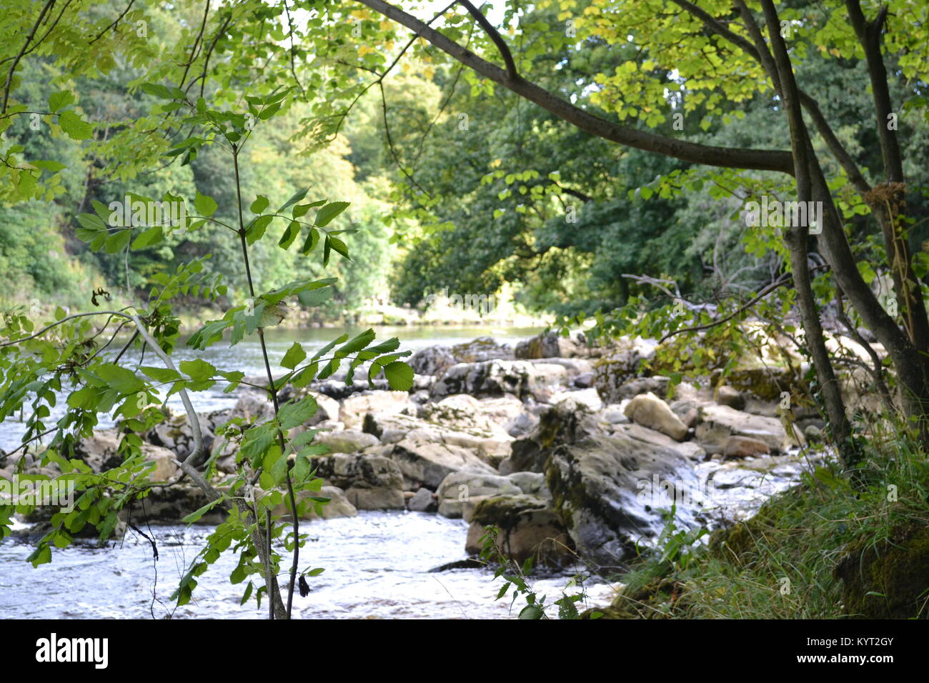 County Durham Stockfoto