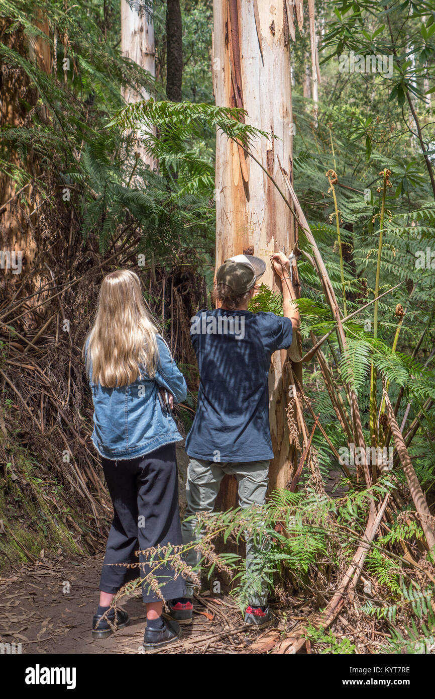 KC und CB Initialen carved in leichte Bräunung, überdachte Rinde des Baumes in einem Herzen sap. Stockfoto