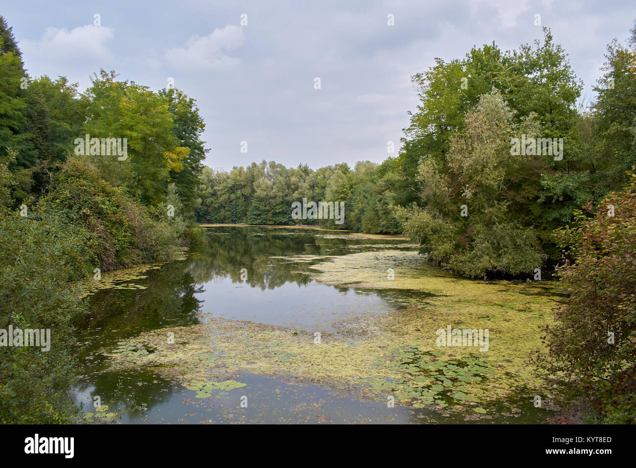 am Flussufer Stockfoto
