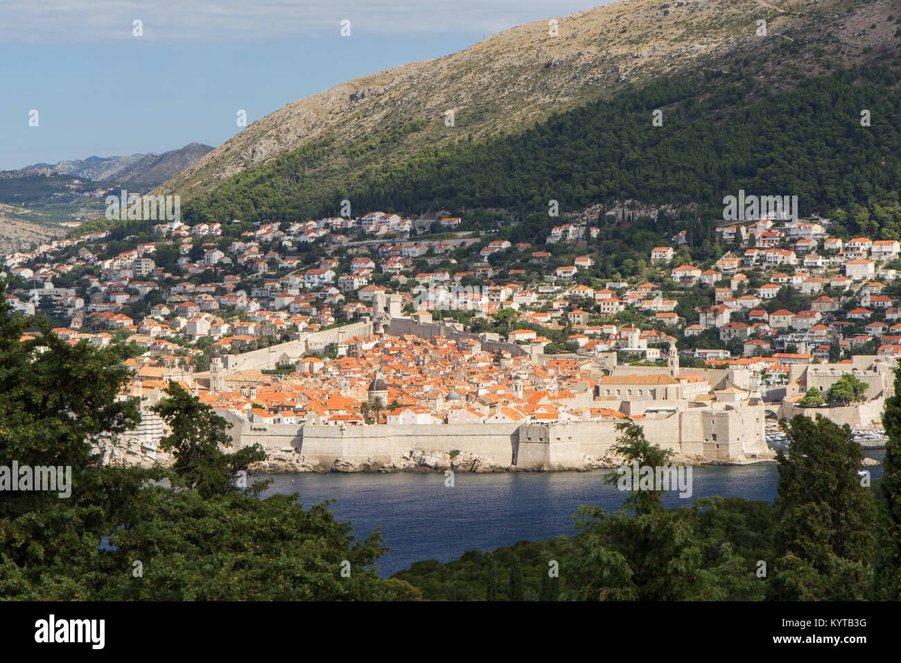 Altstadt, Gebäude auf dem Hügel und Berg Srd in Dubrovnik, Kroatien, gesehen von der grünen Insel Lokrum an einem sonnigen Tag. Stockfoto