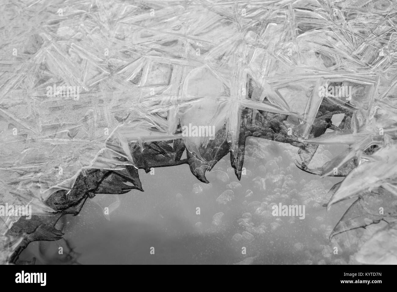 Ice Crystal Blätter Close-ups und Reflexionen auf Wasser Stockfoto