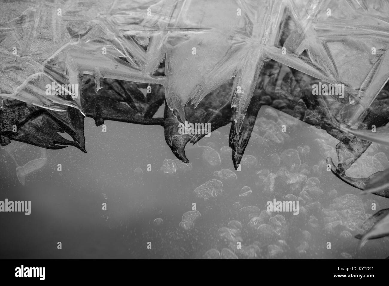 Ice Crystal Blätter Close-ups und Reflexionen auf Wasser Stockfoto